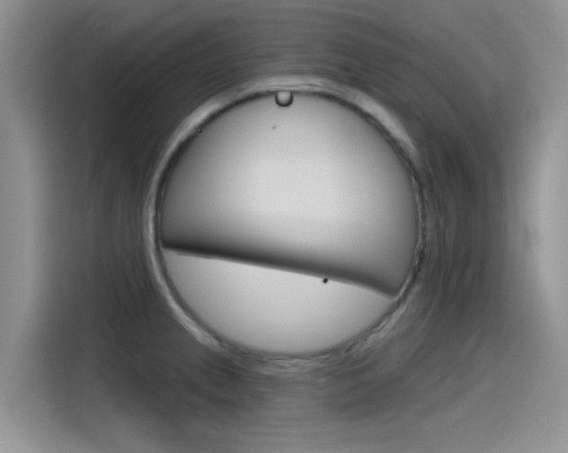 X0000115791237200911131020