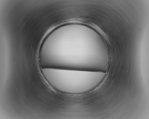 X0000115791240200911131020