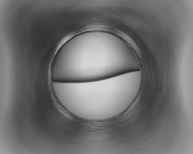 X0000115791242200911131020