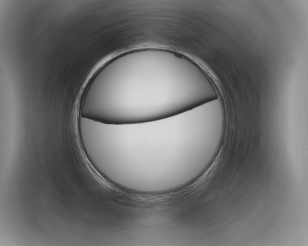 X0000115791246200911131020