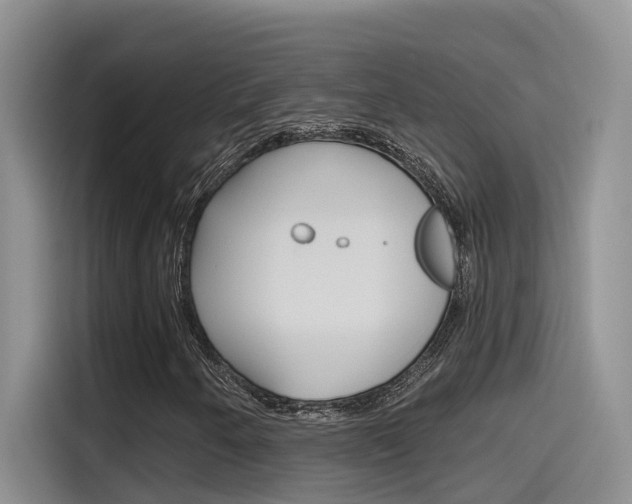 X0000115791250200911131019