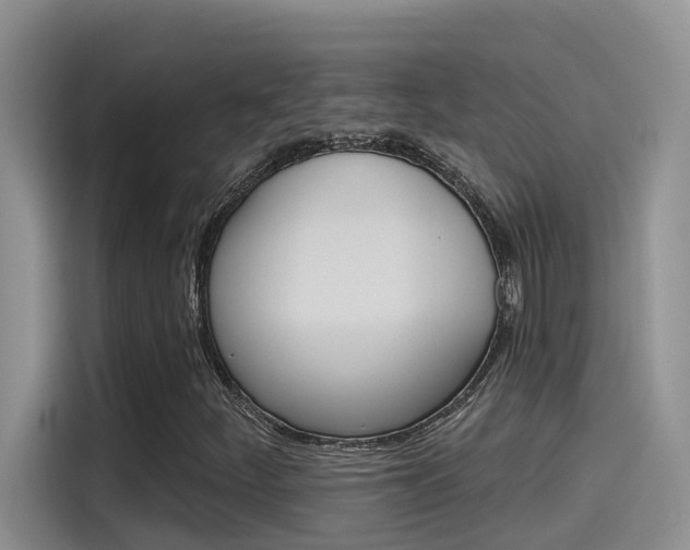 X0000115791252200911131019