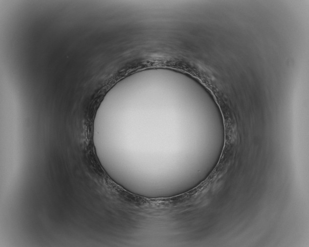 X0000115791253200911131019