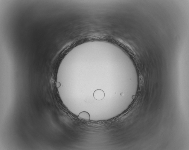 X0000115791254200911131019
