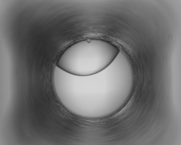 X0000115791257200911131019