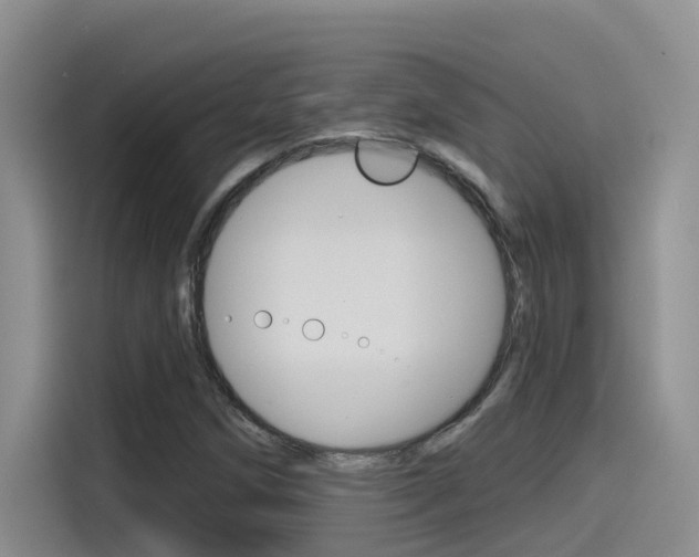 X0000115791258200911131019
