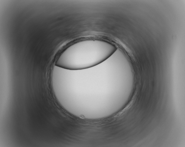 X0000115791259200911131019