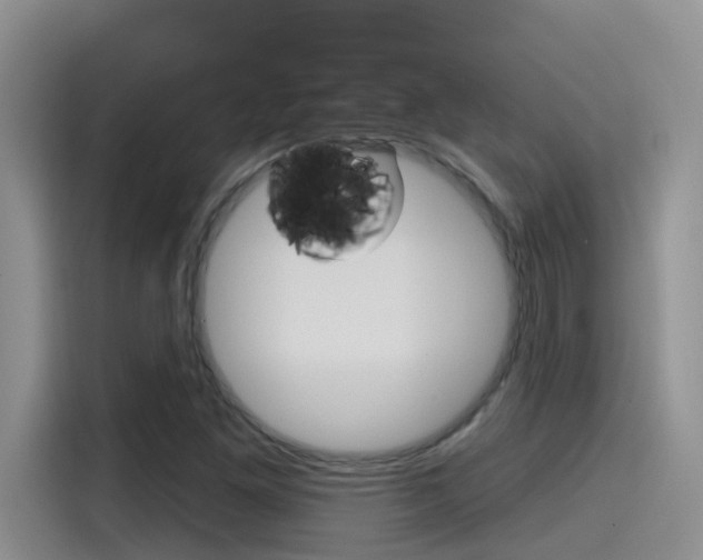 X0000115791261200911131019