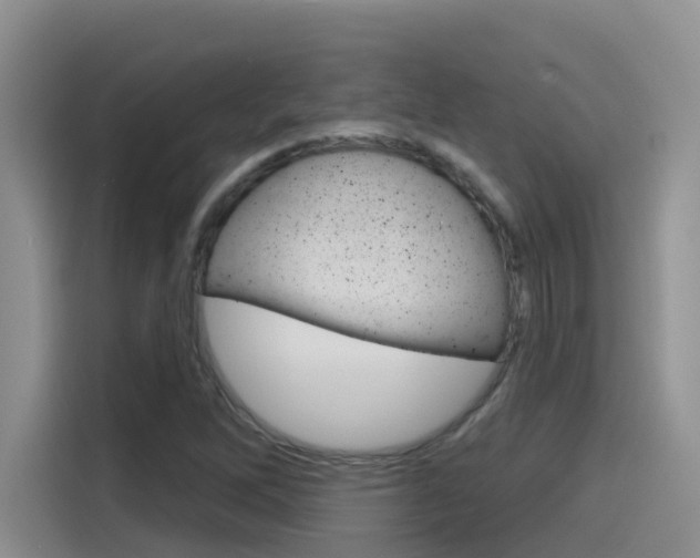 X0000115791262200911131019