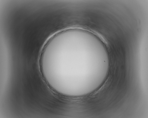 X0000115791264200911131019