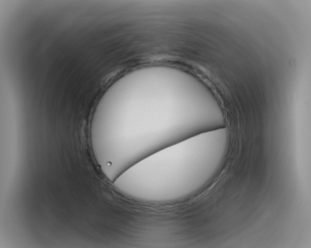 X0000115791265200911131019