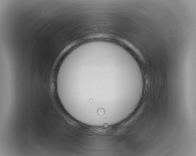 X0000115791266200911131019