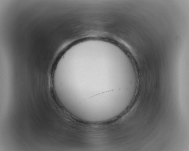 X0000115791267200911131019