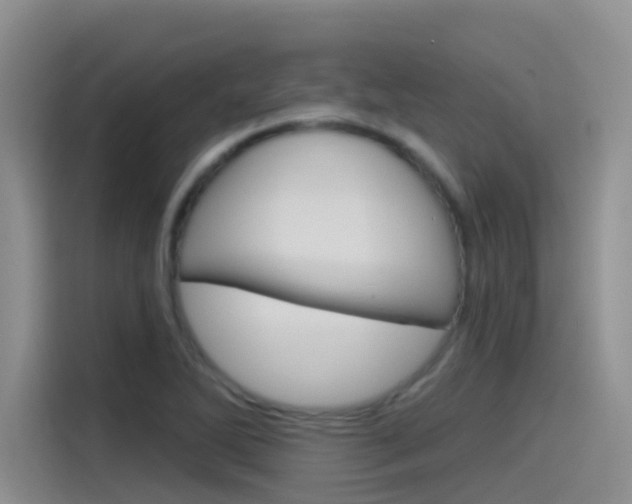 X0000115791270200911131019