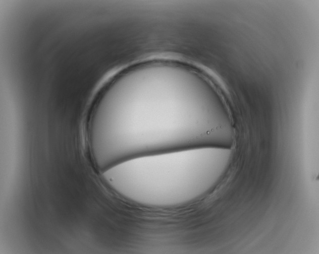 X0000115791271200911131019