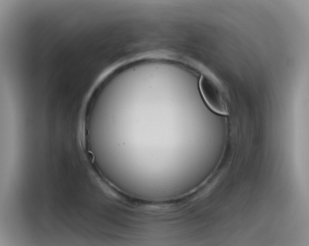 X0000115791272200911131019