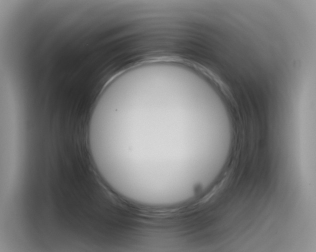 X0000115791273200911131019