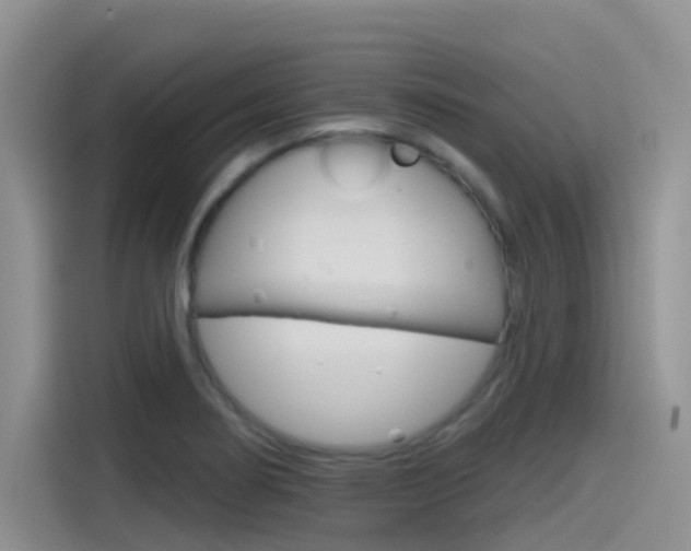 X0000115791274200911131019