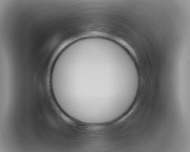 X0000115791278200911131019