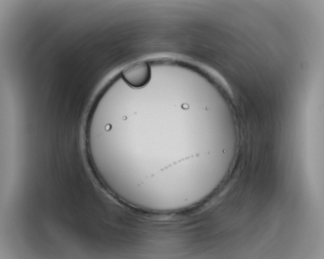 X0000115791279200911131019