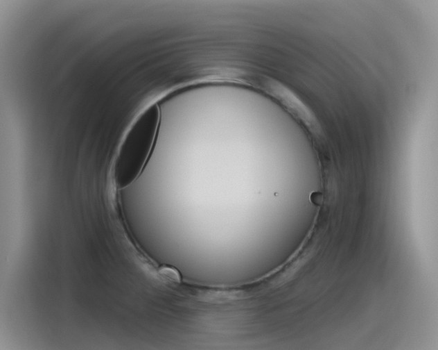 X0000115791284200911131019