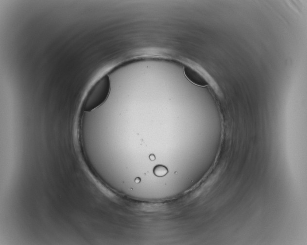 X0000115791285200911131019