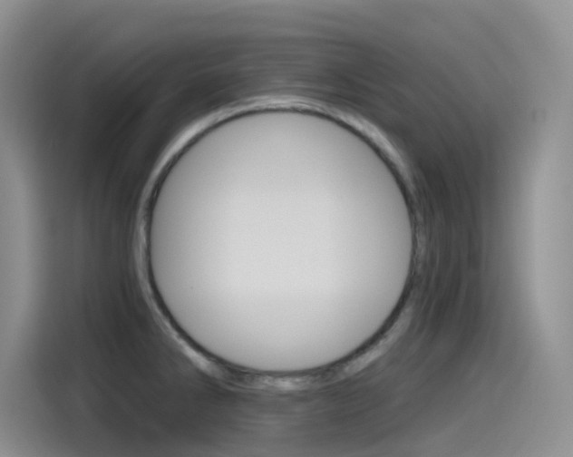X0000115791286200911131019