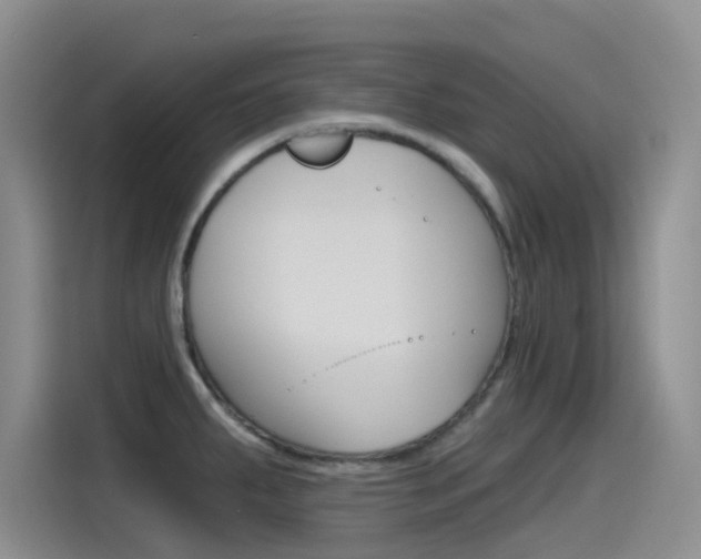 X0000115791287200911131019