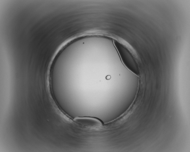 X0000115791288200911131019
