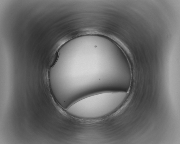 X0000115791289200911131019