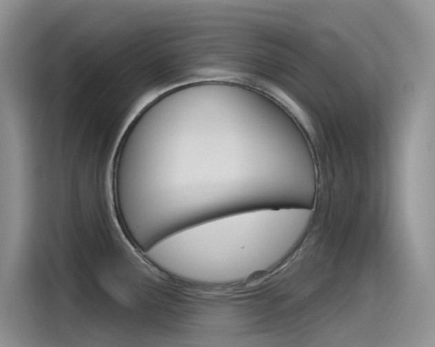 X0000115791291200911131019