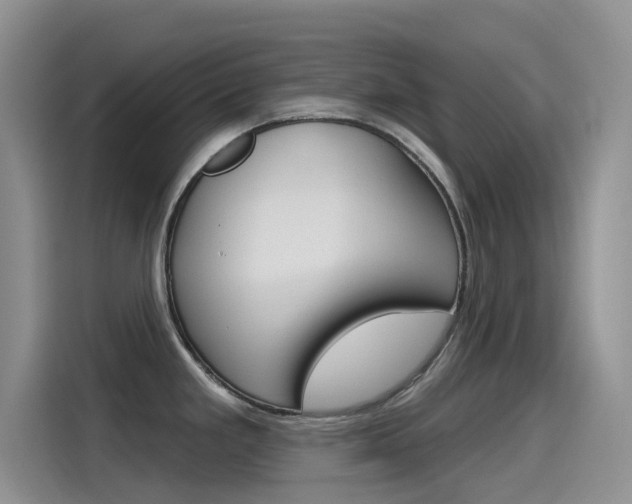 X0000115791293200911131019