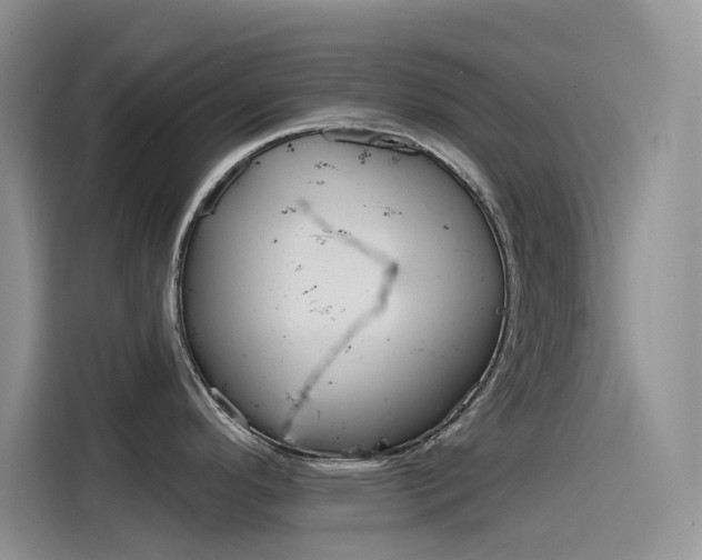 X0000115791296200911131019
