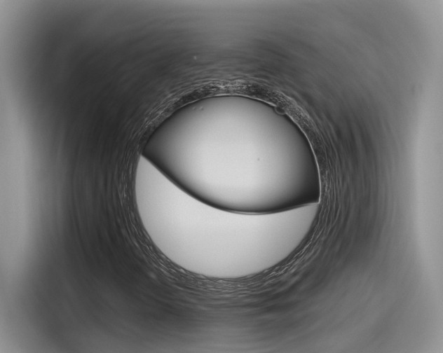 X0000115791298200911131018
