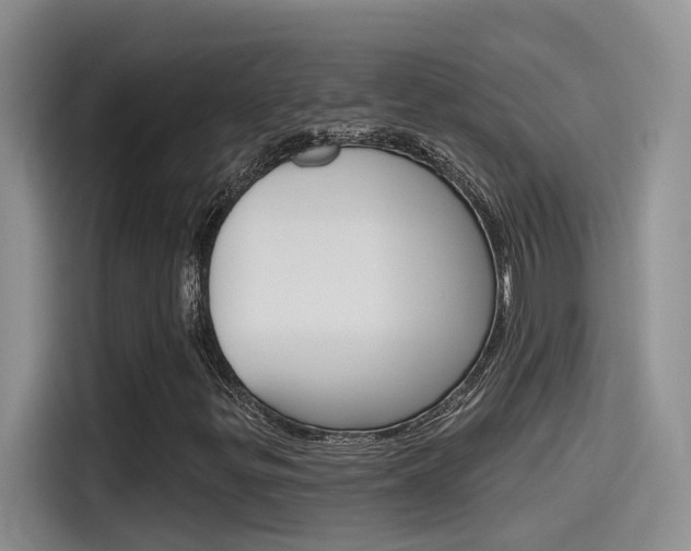X0000115791299200911131018