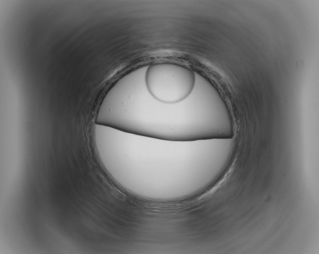 X0000115791305200911131018