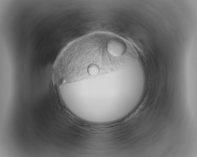 X0000115791307200911131018