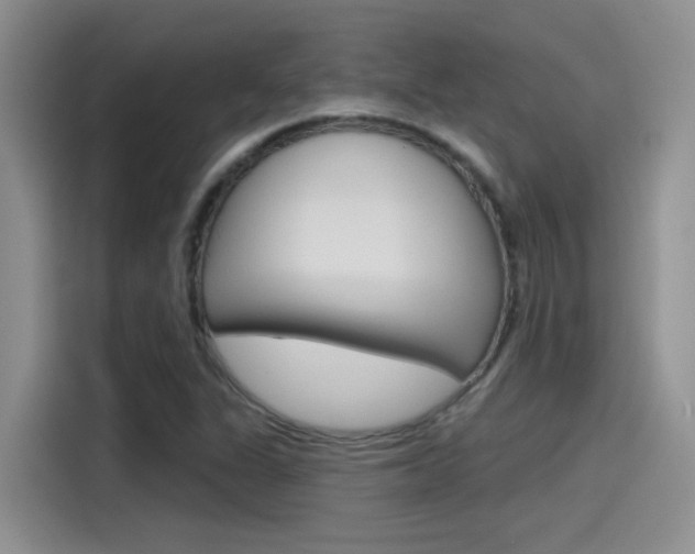 X0000115791311200911131018
