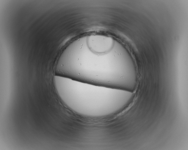 X0000115791313200911131018