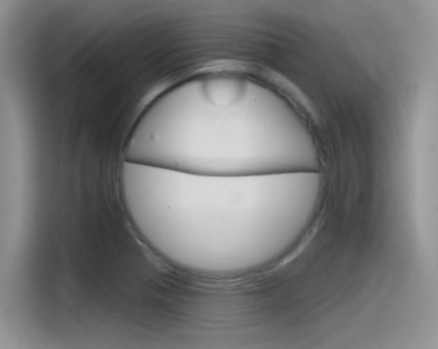X0000115791321200911131018