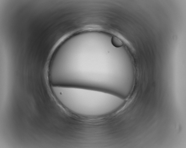 X0000115791325200911131018