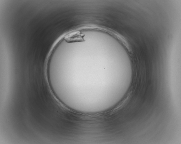 X0000115791326200911131018