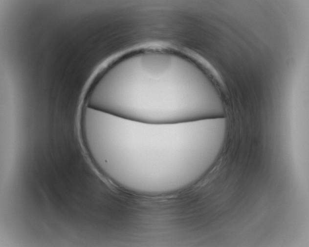 X0000115791327200911131018
