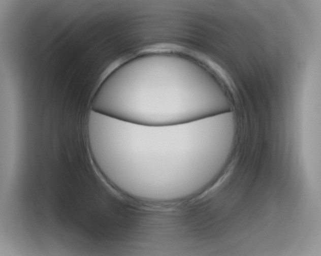 X0000115791329200911131018