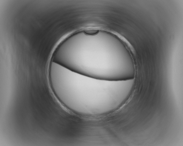 X0000115791333200911131019
