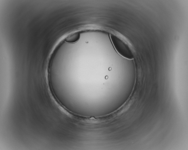 X0000115791334200911131019