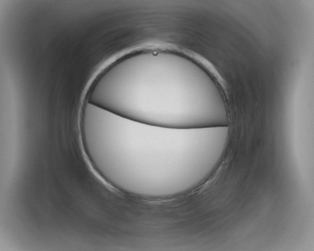 X0000115791335200911131019