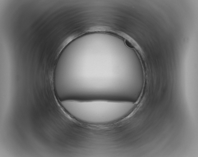 X0000115791337200911131019