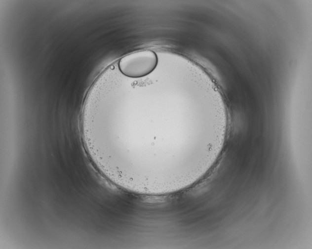 X0000115791338200911131019