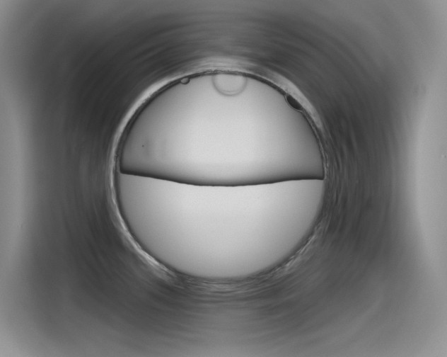 X0000115791339200911131019